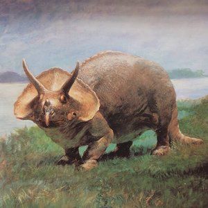 Idk how to delete this??